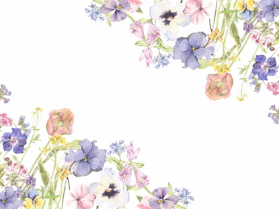 花框148  - 温柔的春天色花框架