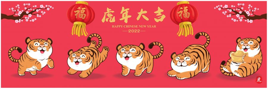26款精选虎年矢量素材2022不同画风的虎年素材
