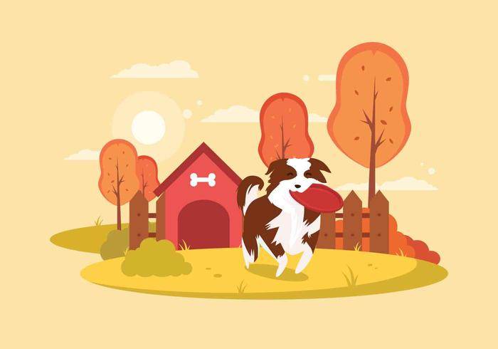 免费的博德牧羊犬插图