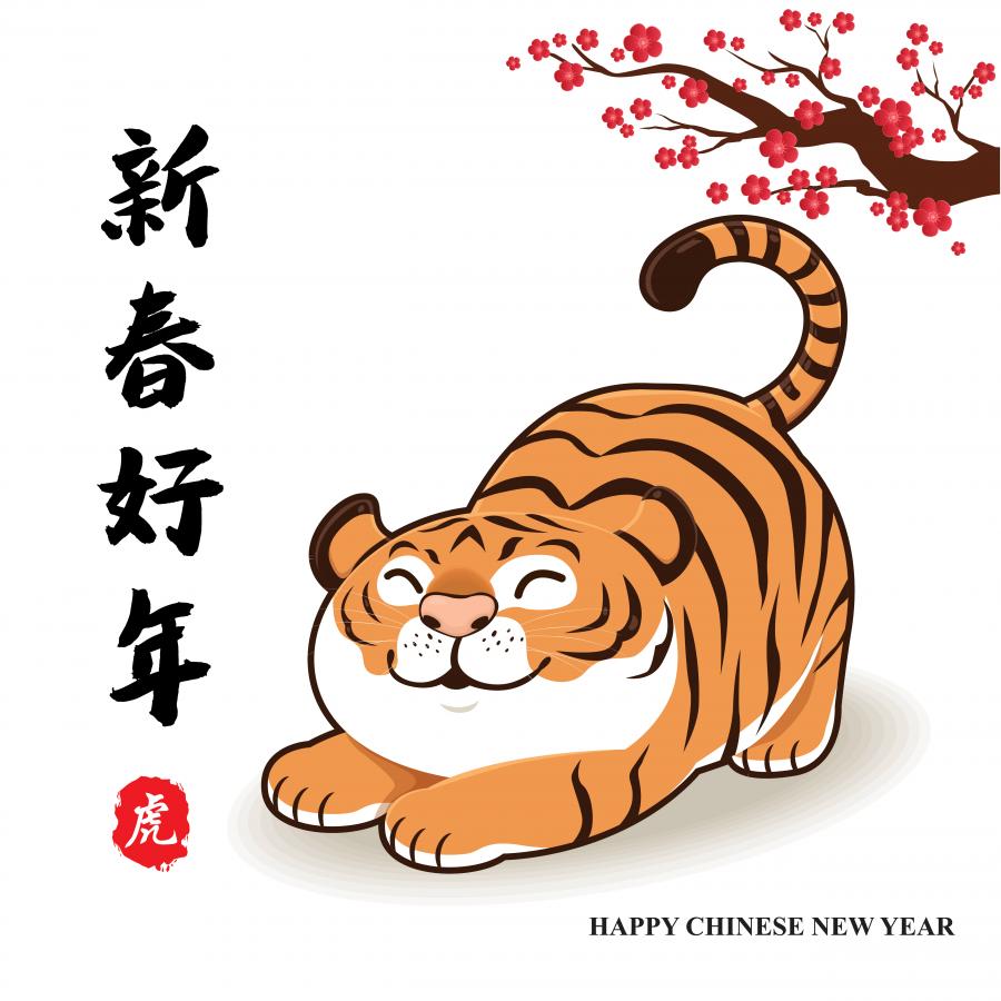 26款精选虎年矢量素材2022不同画风的虎年素材