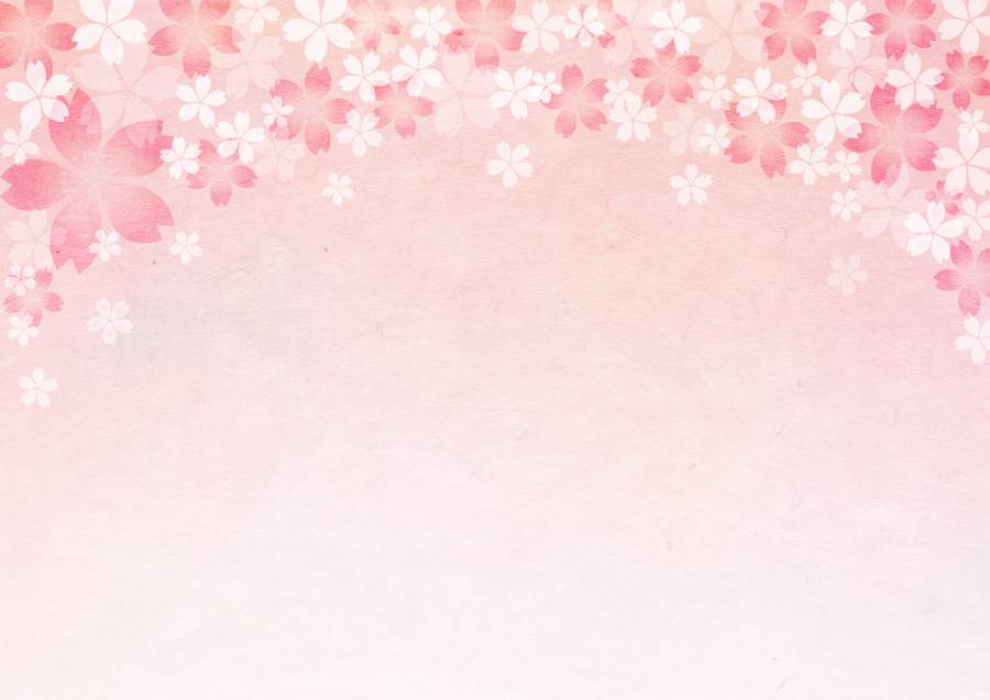 Sakura_ Washi_背景