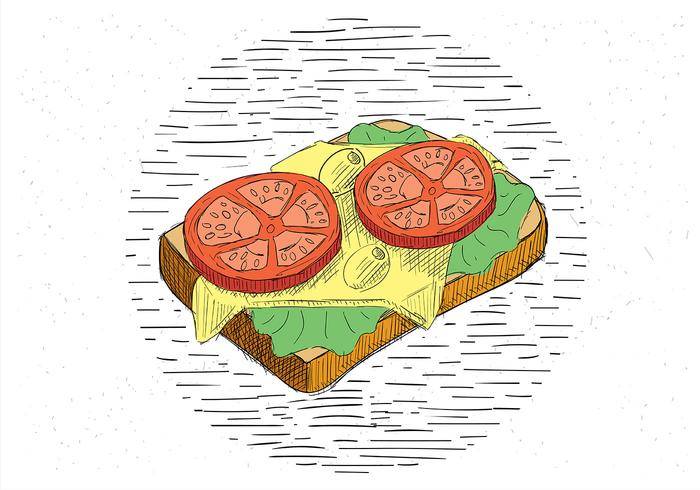 免费手绘矢量三明治插画