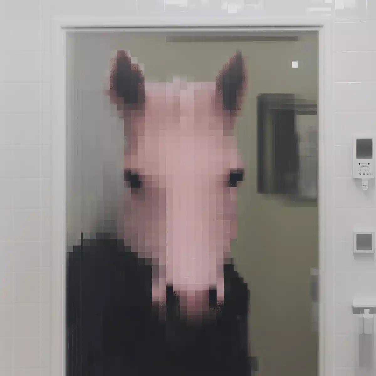 Pink Horse in Bathroom Midjourney提示词