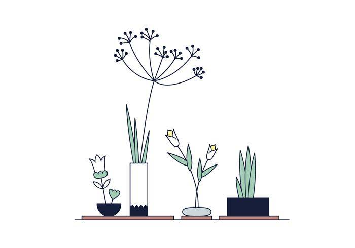 免费插花矢量