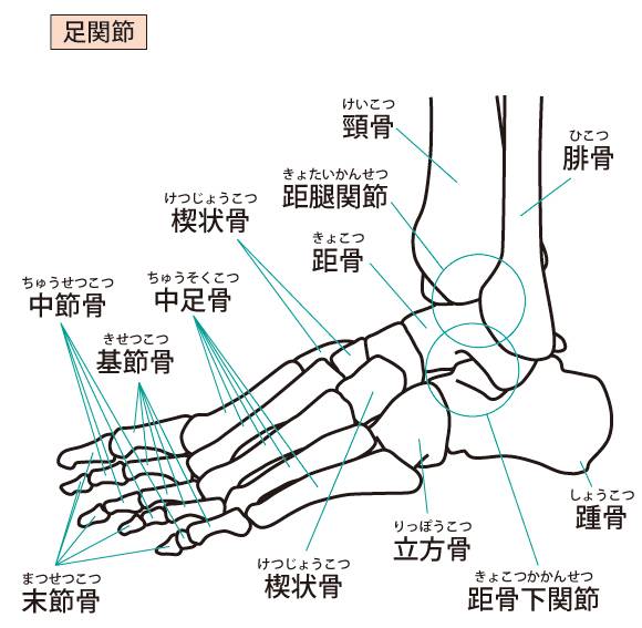 足关节