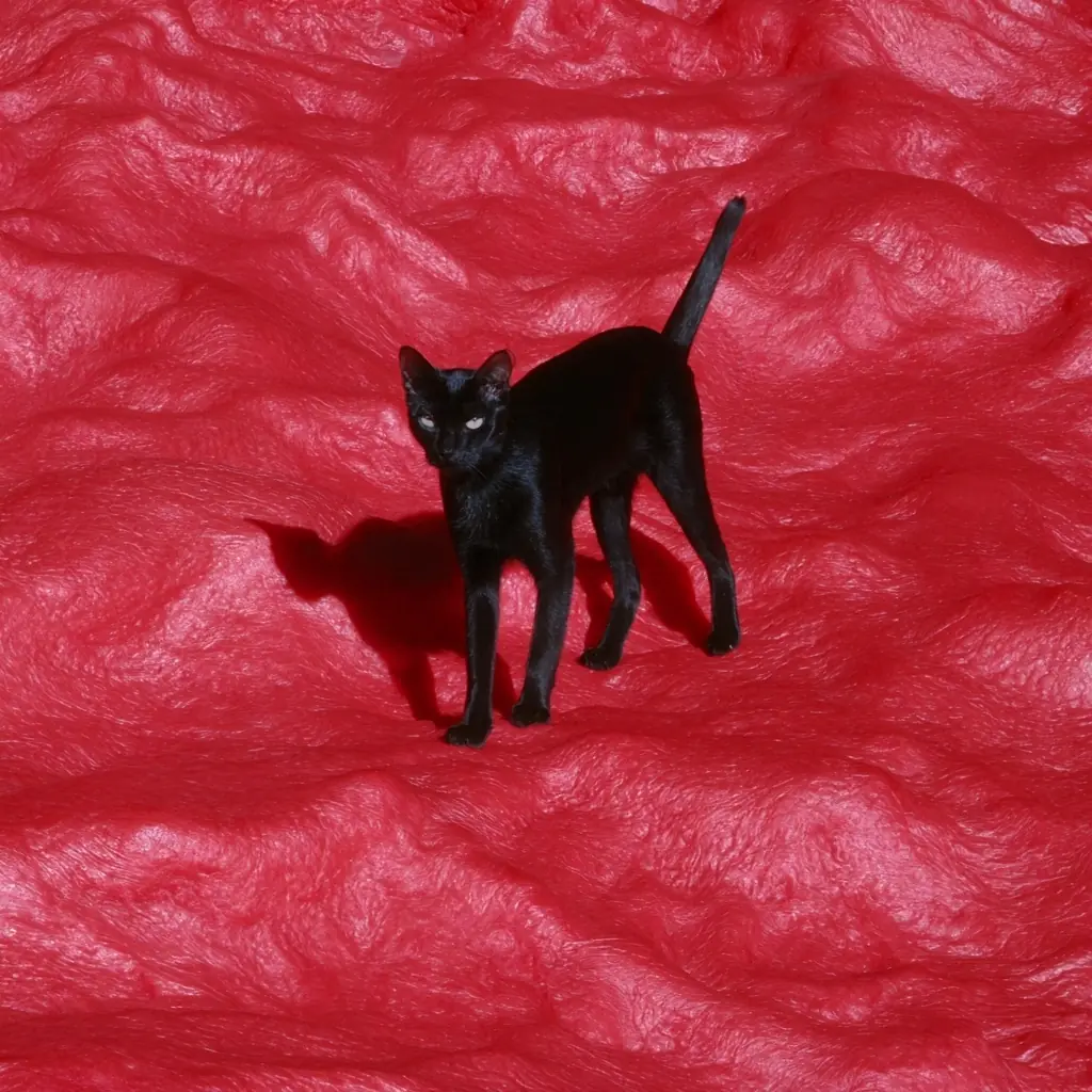 Surreal Cat on Skin Midjourney提示词