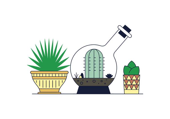 免费的多肉植物矢量