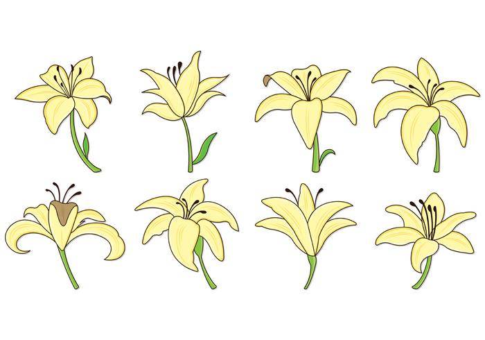 套复活节百合象