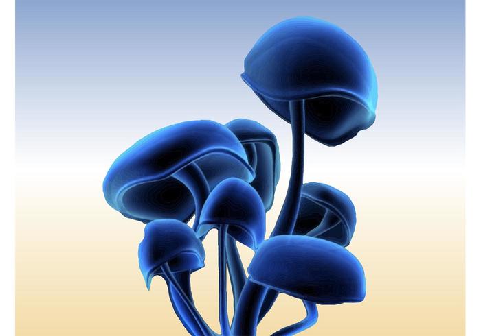 迷幻蘑菇