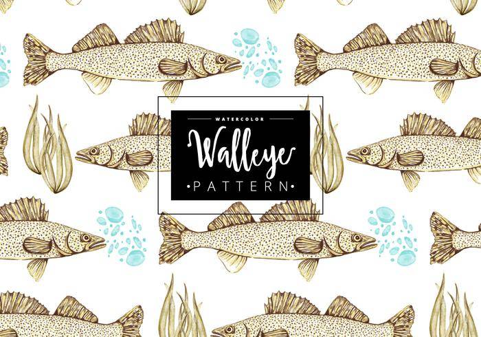 免费Walleye模式
