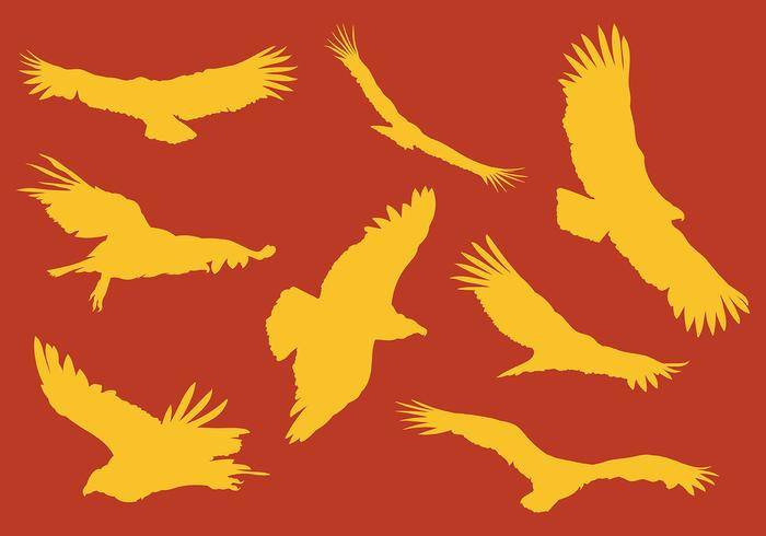 免费神鹰图标矢量