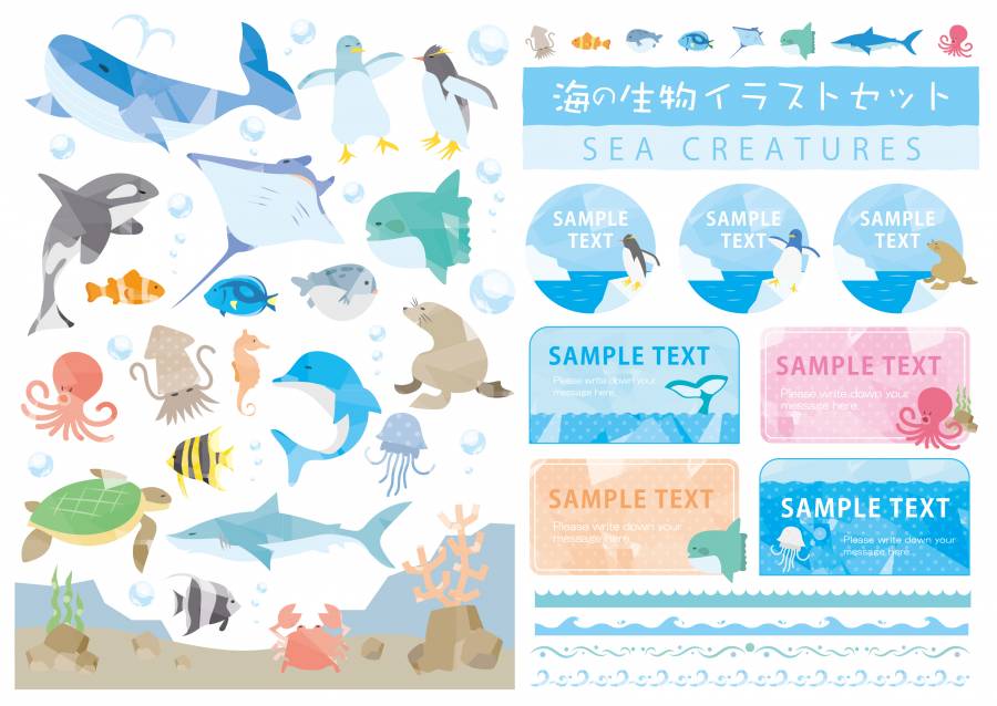 海洋生物SET