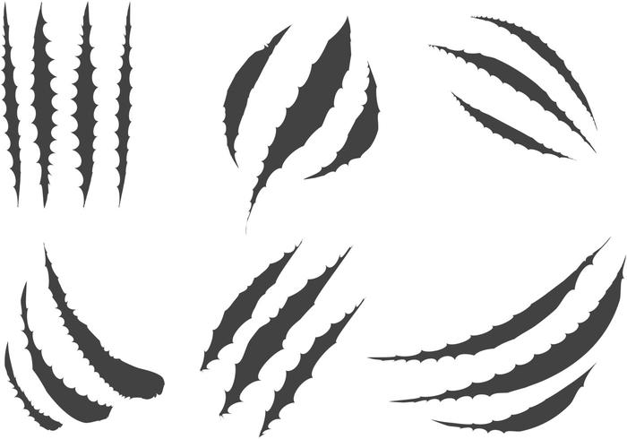 利爪向量