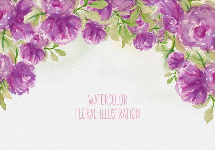 免费矢量水彩花卉插画