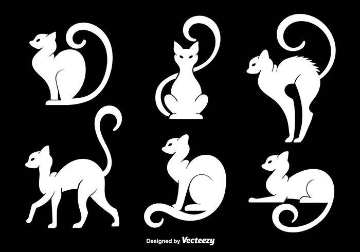 白色的猫剪影