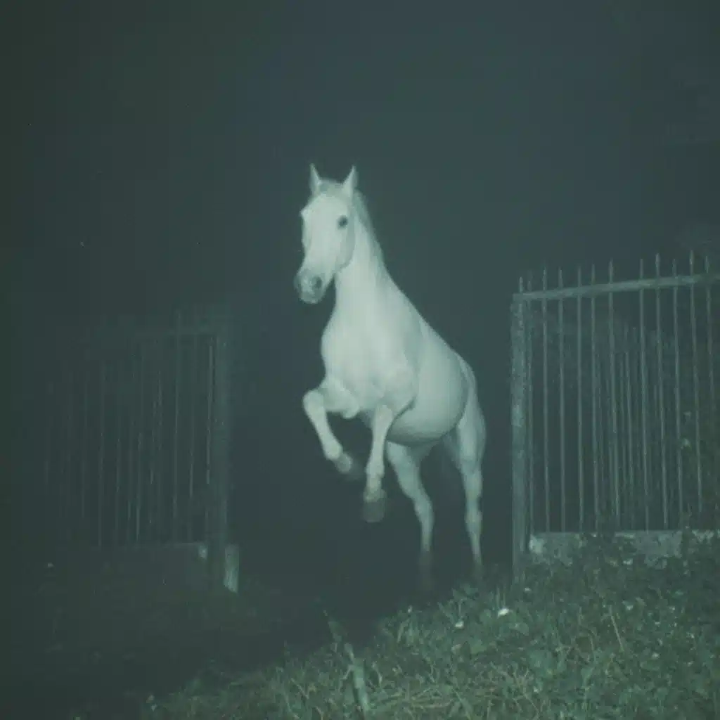 Cinematic White Horse Leap Midjourney提示词