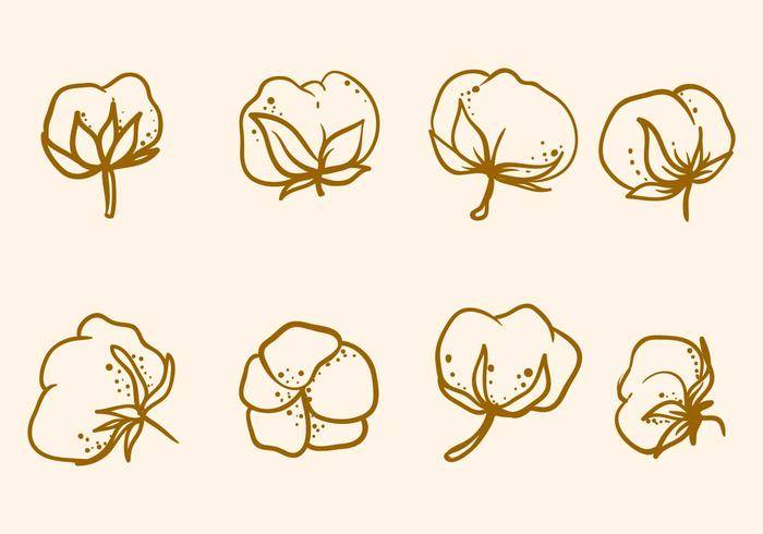 免费手绘棉花花矢量