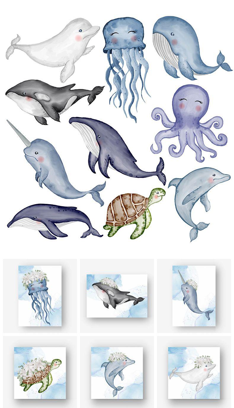7款可爱卡通海洋生物海豚海龟虎鲸EPS格式