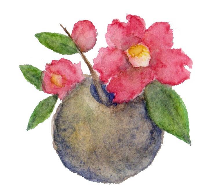 茶花