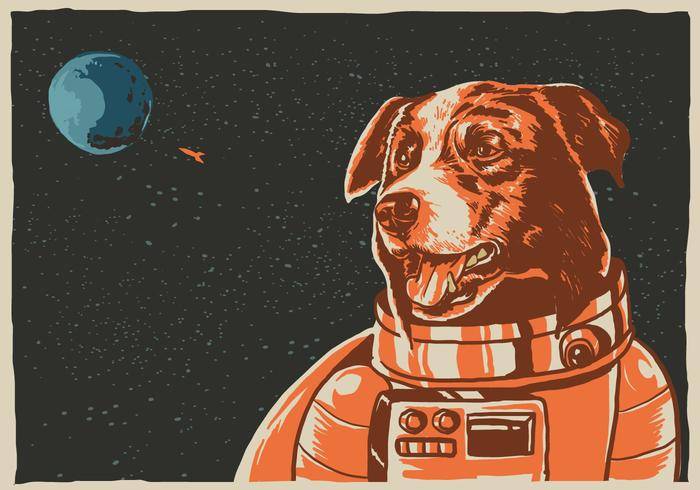 空间边境牧羊犬