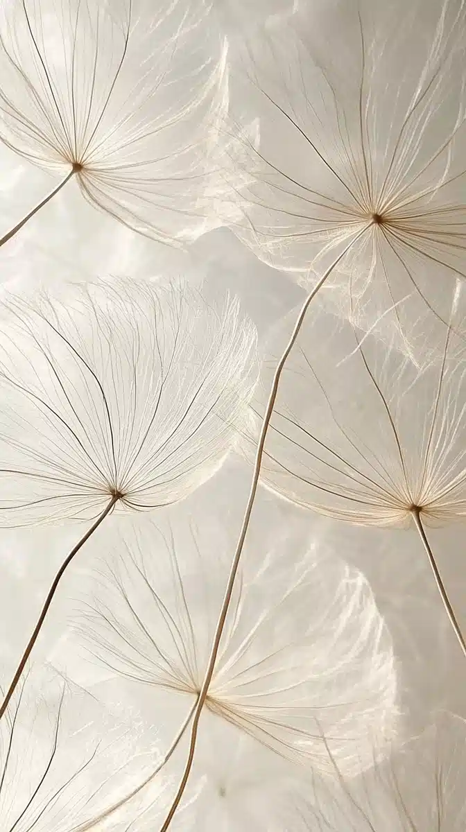 Delicate Dandelion Seeds Close-Up Midjourney提示词