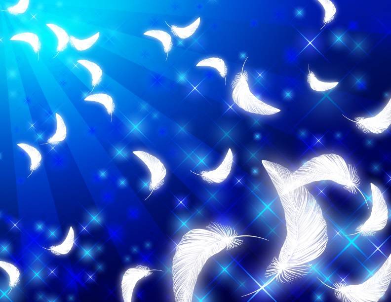 天使_羽毛+闪光