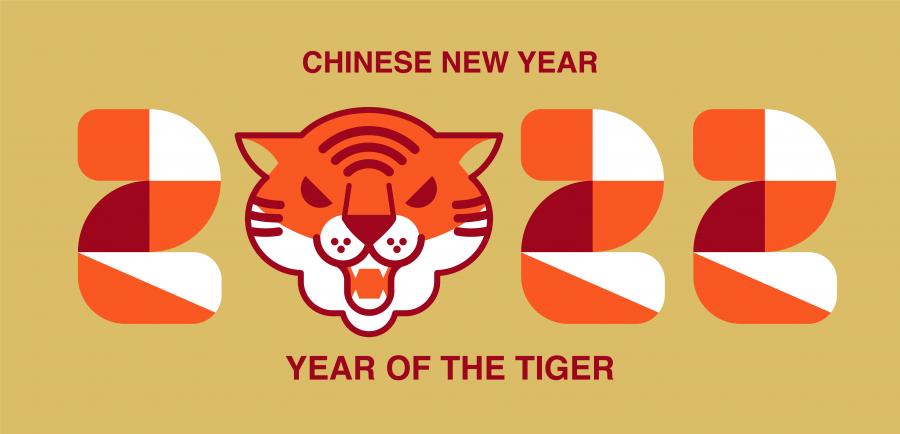 16款中国风2022年虎年新年春节剪纸卡通插画海报AI矢量设计素材图模板