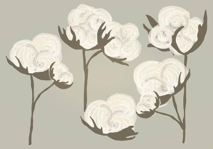 矢量水彩棉花插画