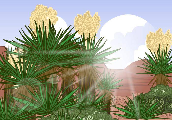 丝兰沙漠场景矢量