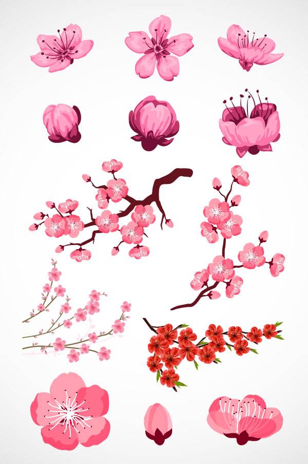 粉色桃花矢量