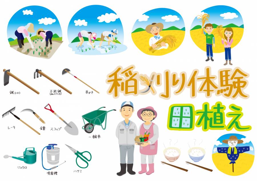 稻田
