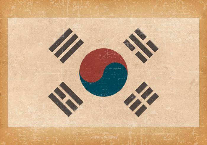 在难看的东西背景的韩国旗子
