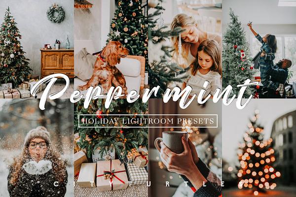 Moody Holiday PEPPERMINT LR Presets