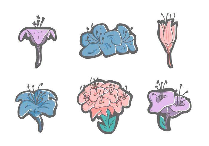 免费美丽的杜鹃花花卉载体