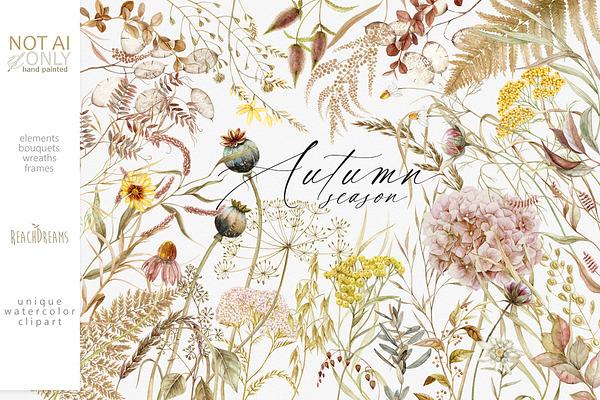 Wildflower fall watercolor clipart