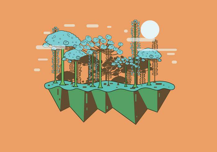 南洋杉向量