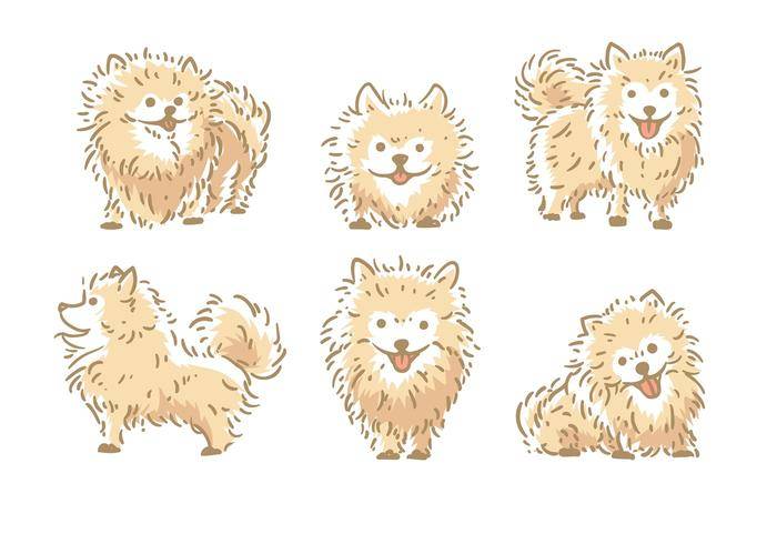 博美犬矢量