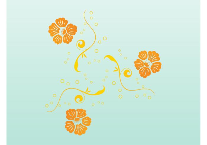 橙色的花