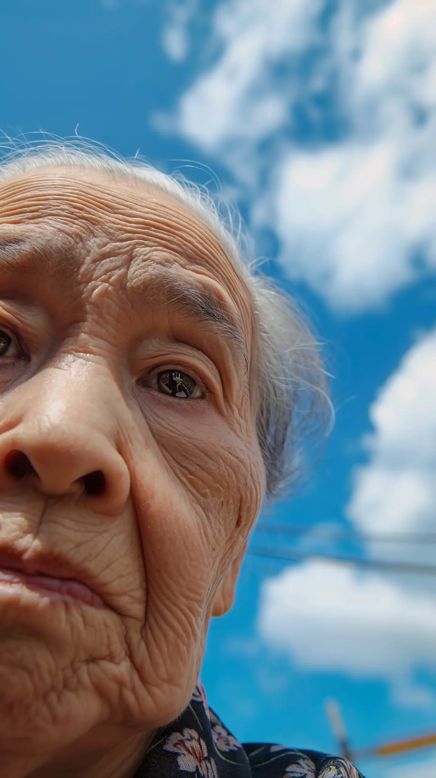 Elderly Japanese Portrait Sky Midjourney提示词