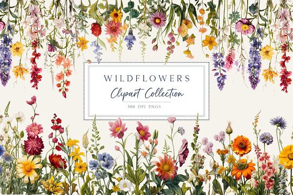 Wildflowers Borders Clipart