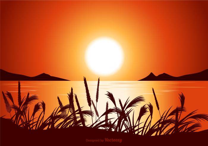 免费矢量日落海景插图