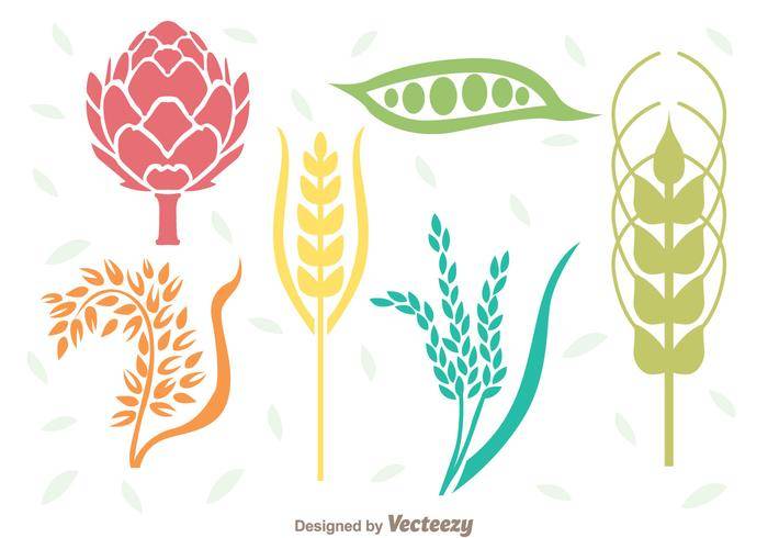 谷物植物集合