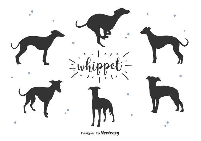 Whippet剪影矢量