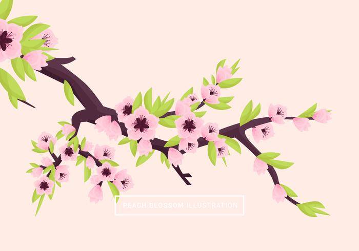 桃花矢量图
